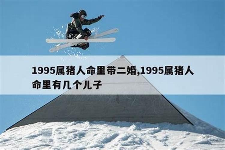 95属猪2022年运势及运程