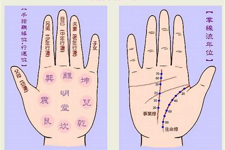 梦到自己怀孕还生了双胞胎