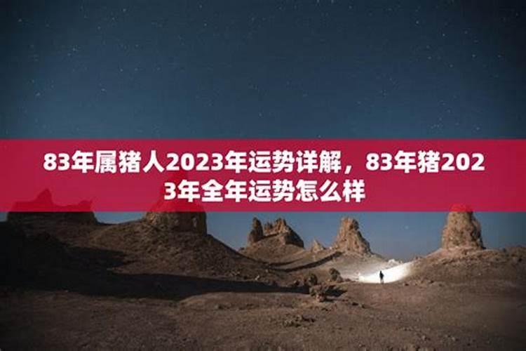 83年猪2023年运势怎么样男