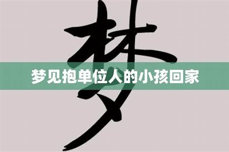 梦见抱小孩回家好不好