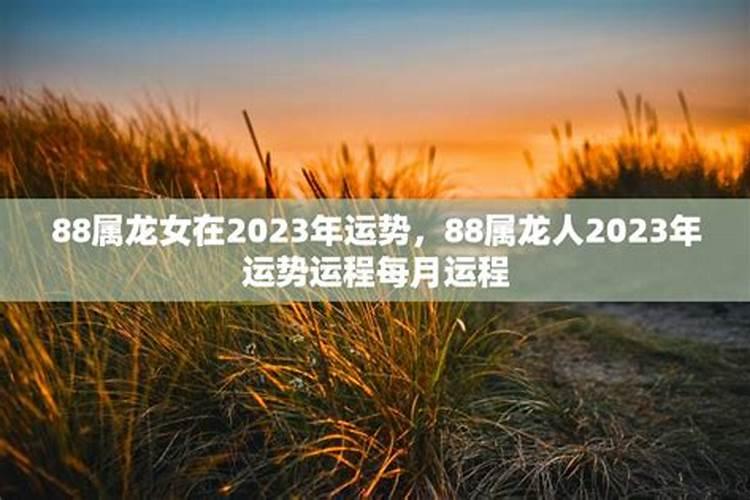 88年龙女2023年的运势和婚姻