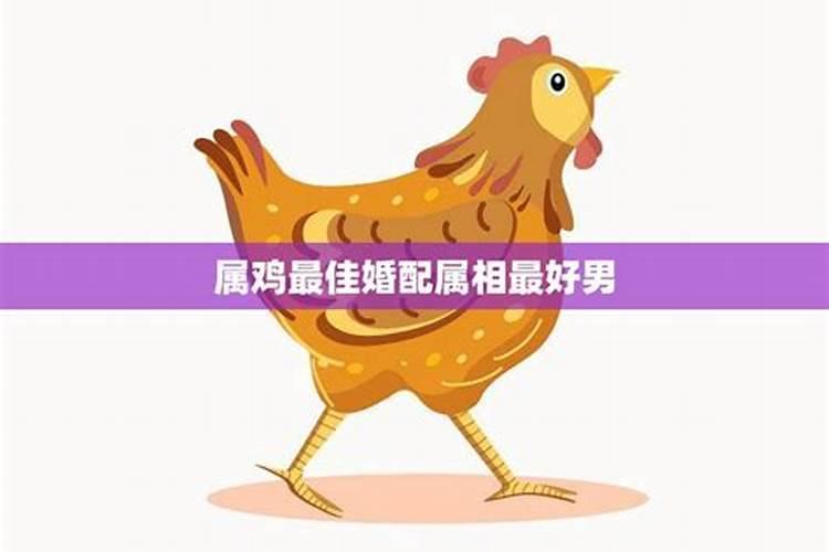 梦见前夫有新欢是什么意思