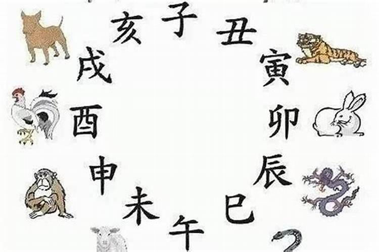 鸡和兔八字相合吗