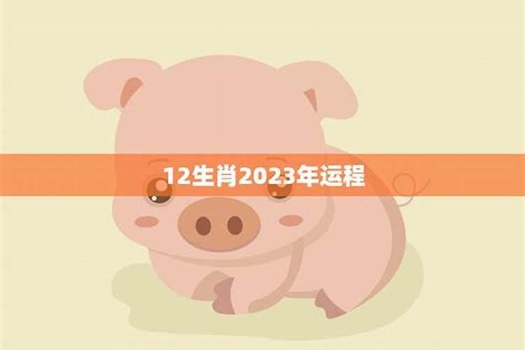 猪2023年运势和桃花