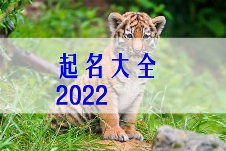 2022年正月十五虎宝宝