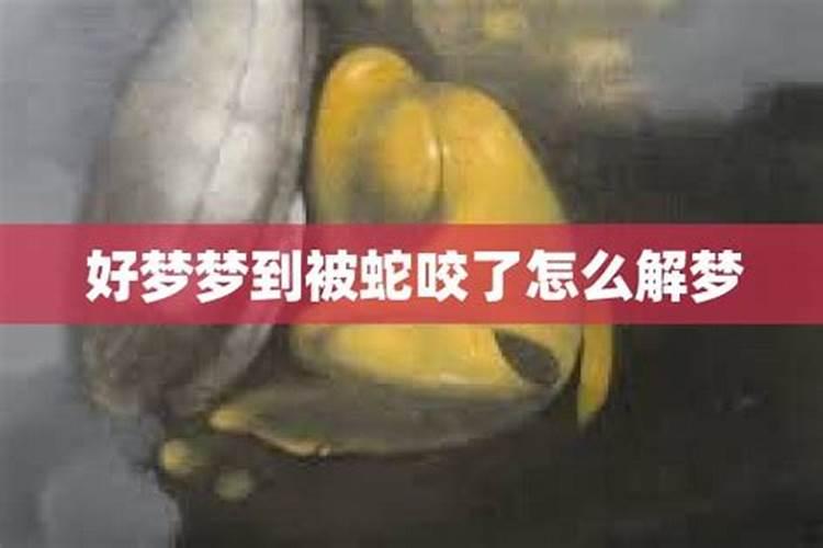 梦到被蛇咬是怎么了