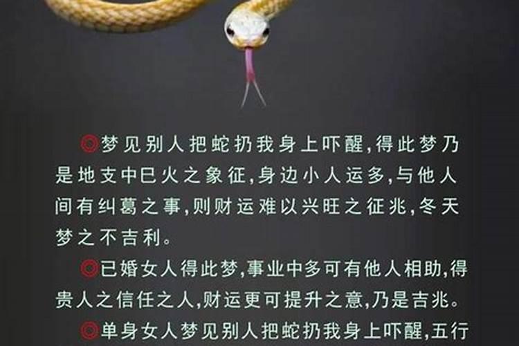 属虎的人戴什么比较好