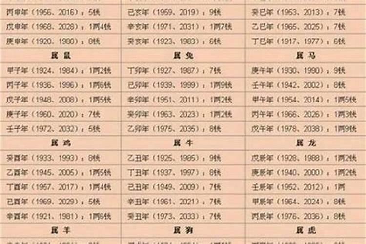 2023生肖属什么生肖属相