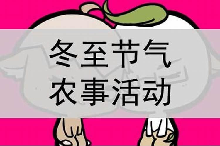 下列哪项是冬至节气的农事活动特点