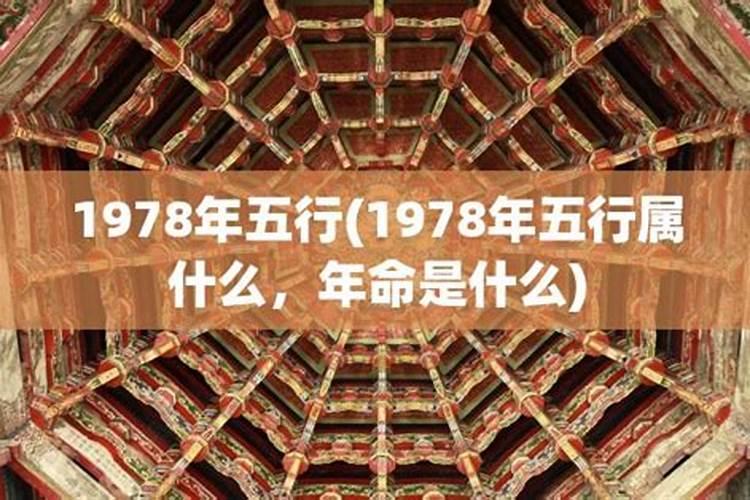 78年五行属什么命