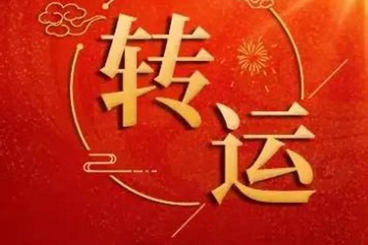 属马今年的运程怎么样呀