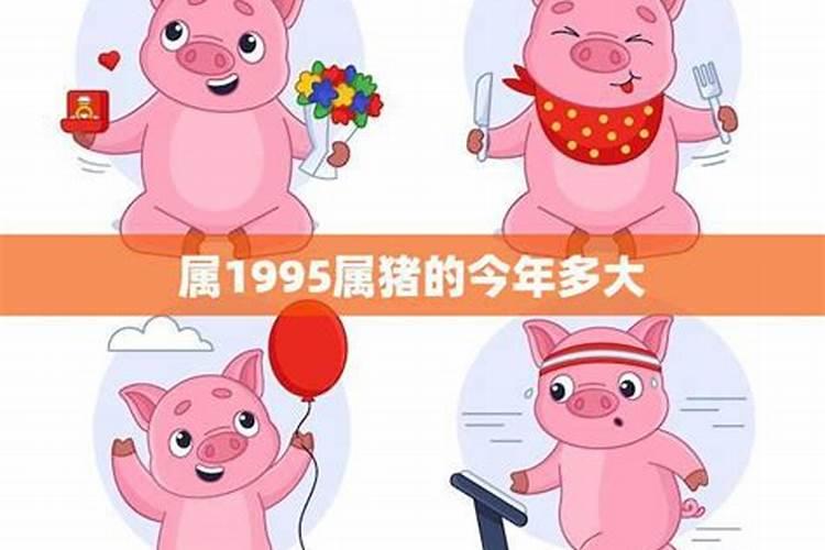 2021生肖猪1995运势运程