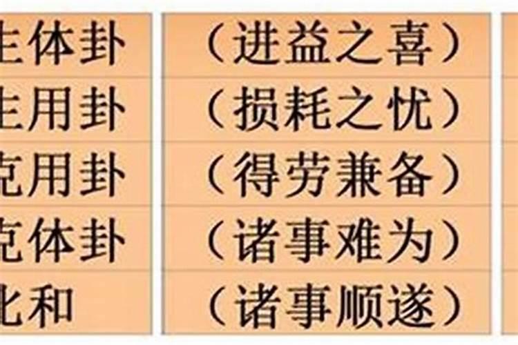 可的八字命理是什么