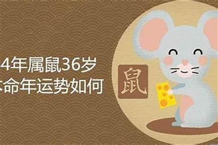 属兔三月份运势2021年财运怎样