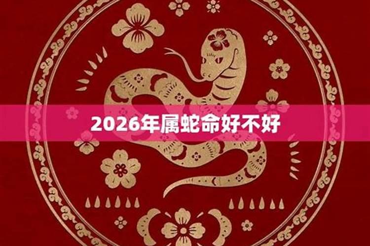 2026年属蛇人运势