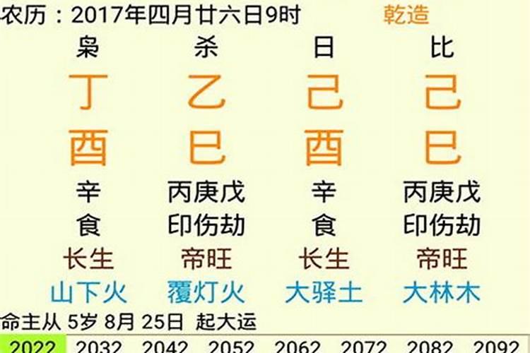 八字排盘十神什么意思