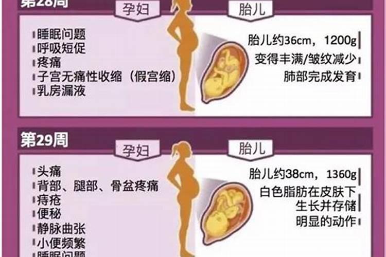 即墨财神节庙会日期是几号啊