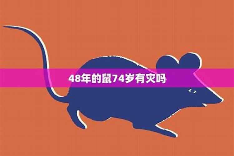 鼠人48岁运势