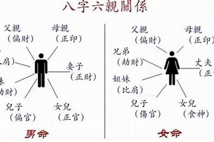 八字合婚什么看子女