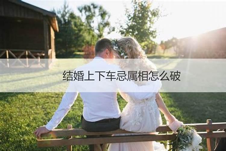 结婚忌的属相可以娶亲吗