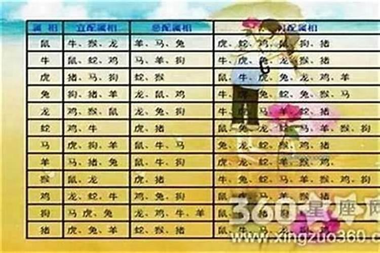 属牛与什么属相婚配最好