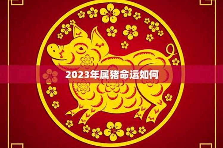 87年兔子的2022年运势怎么样