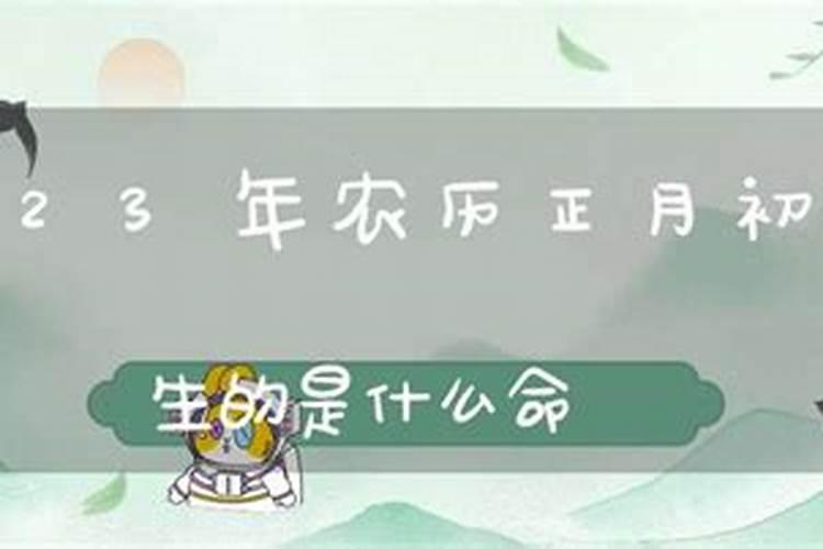 2023农历正月初五出生