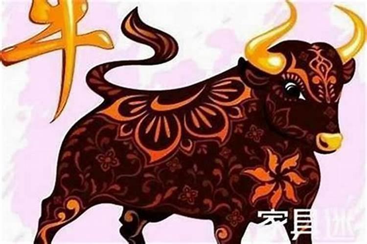 属牛的今年和属什么的和财