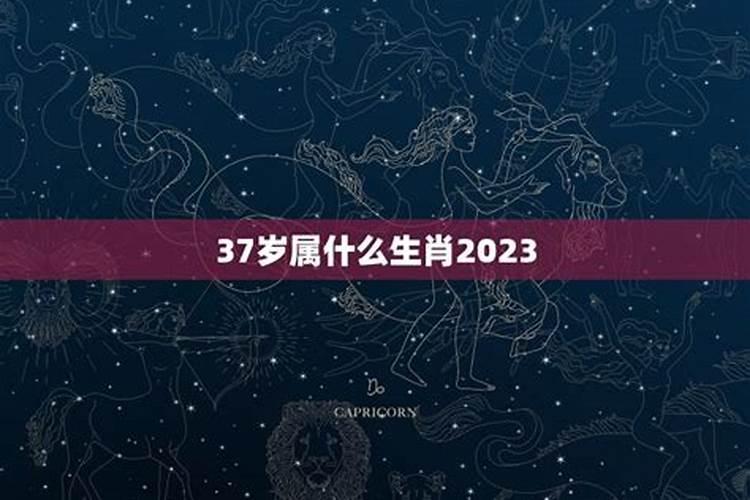 今年32岁属什么的