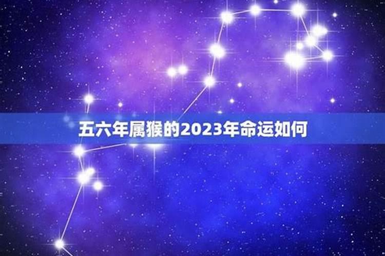 属猴的2023年的运程