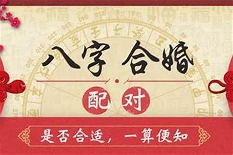 狗做梦会梦到什么