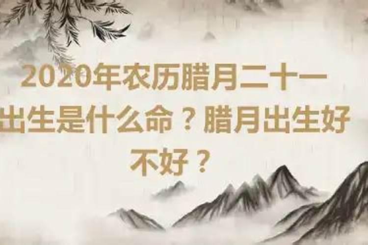 属兔鼠年2023年运势及运程如何看