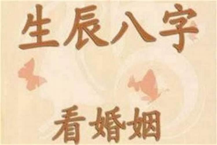 八字四柱合婚看哪柱好