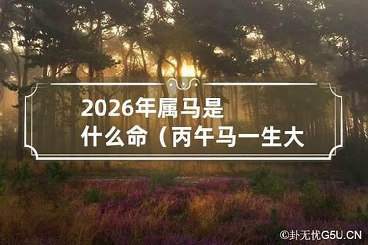 2026年属马的是什么命运