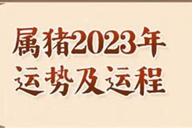 2023本命年运势及运程详解