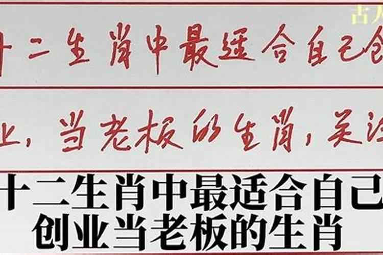 什么生肖比较合适当老板