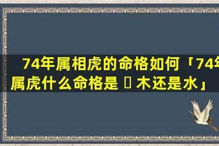 74年虎的最佳婚配属相