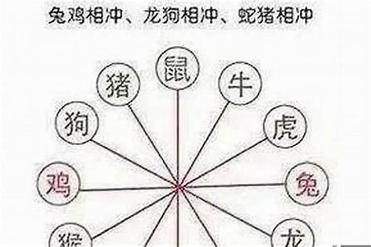 属虎的相冲相害是什么