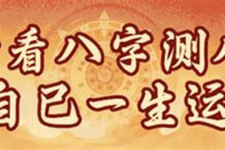 上海重阳节老人公园免费