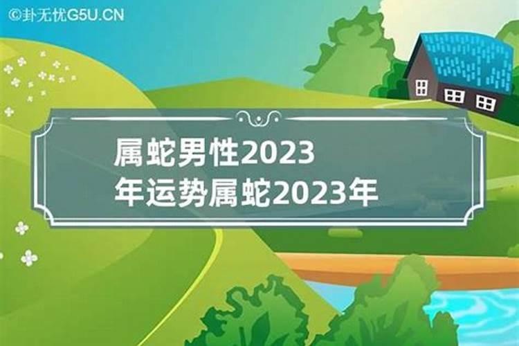 2023年属蛇男人的全年运势