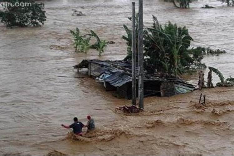 梦到下大雨洪水泛滥