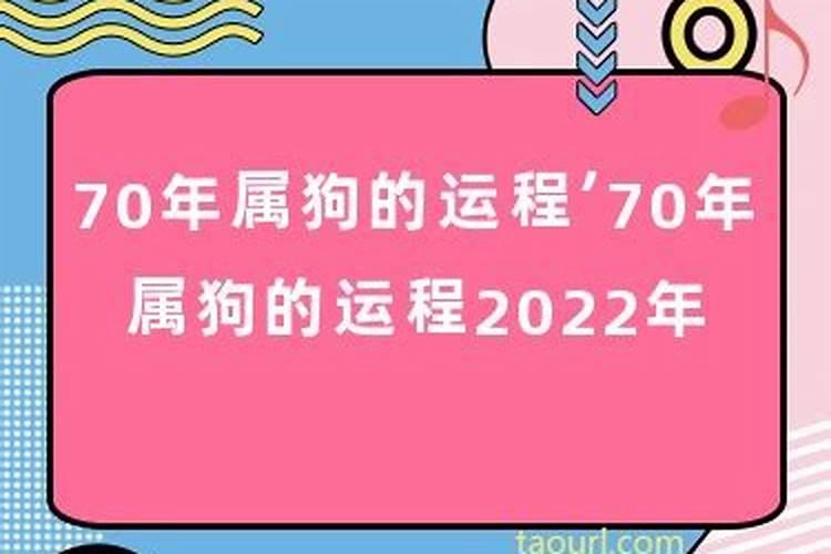 70年狗今年运气怎样