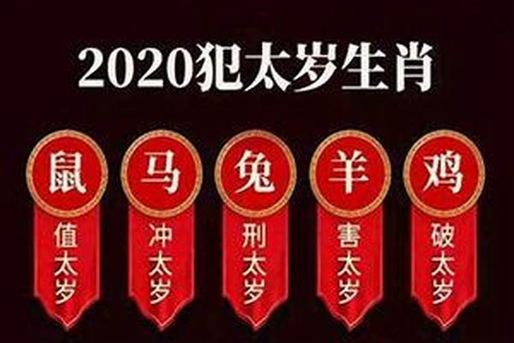 属狗人2024年运势及运程如何