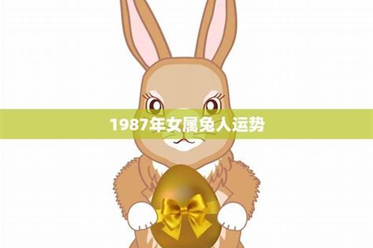 1987年属兔女人今年运势