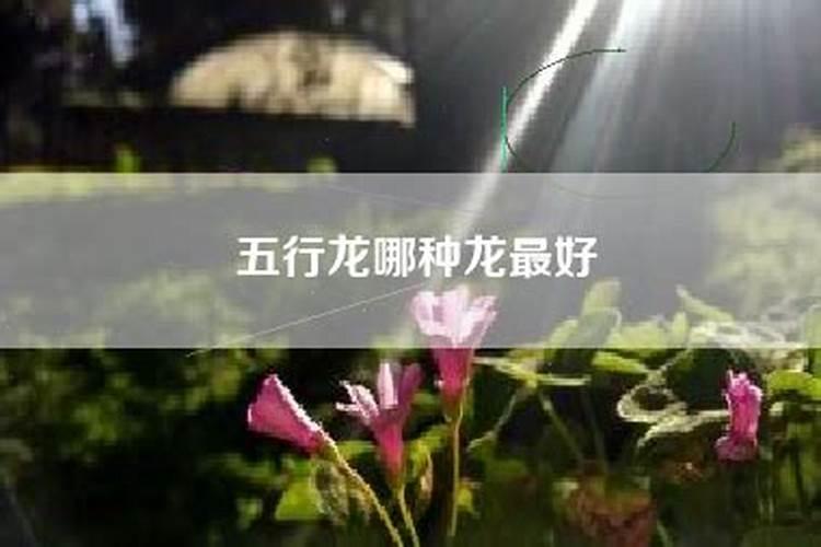 婚姻合八字怎么合的