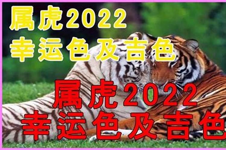 2022年属虎的幸运色是什么颜色