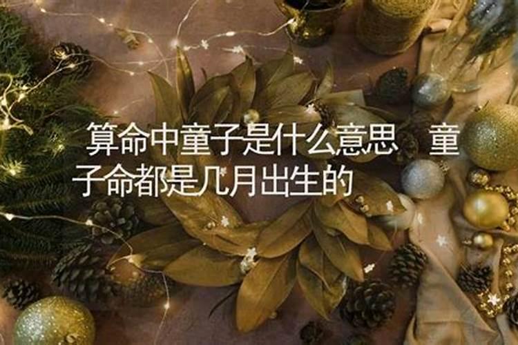 本命年不适合结婚吗属虎的