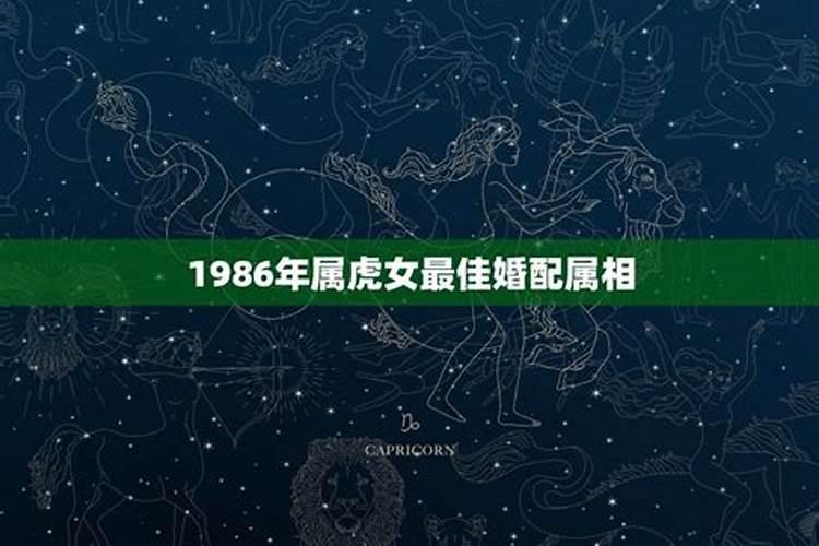 1986女属虎婚配最佳属相