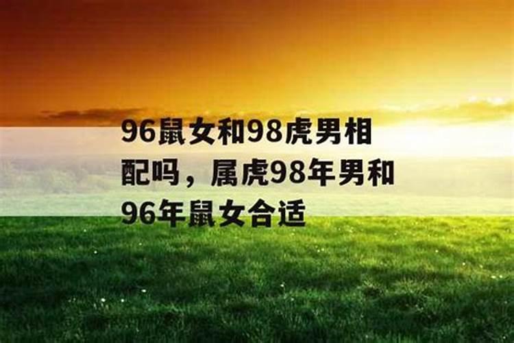 96年鼠和98虎八字合不合