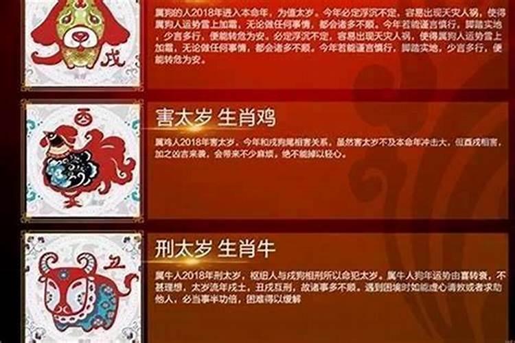 属狗的人今年运势怎么样,2021年